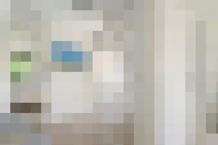 Princenhoff 11 Den Helder thumbnail 35