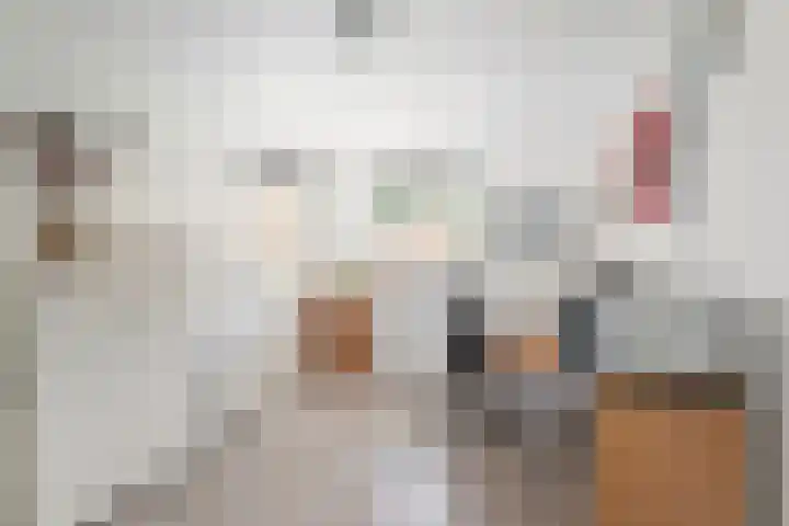 Princenhoff 11 Den Helder thumbnail 38