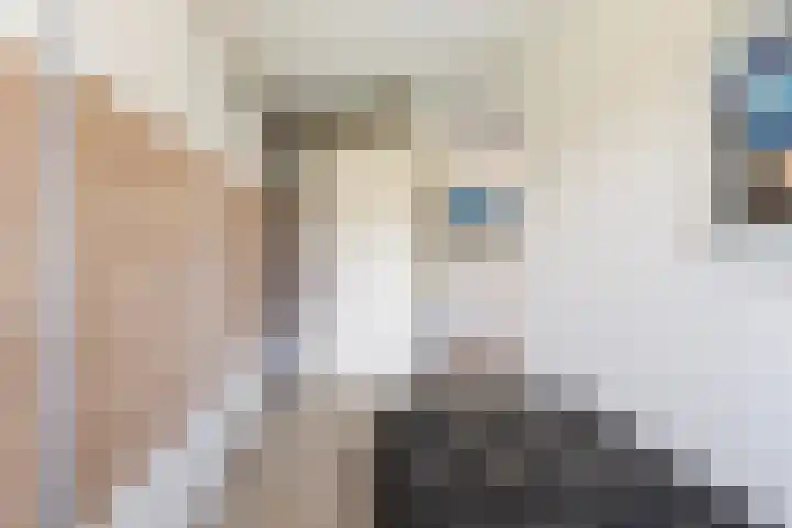 Princenhoff 11 Den Helder thumbnail 41