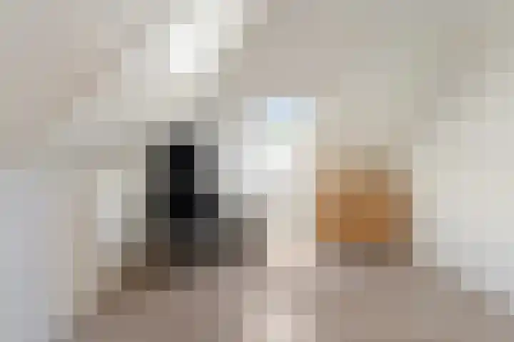 Princenhoff 11 Den Helder thumbnail 49