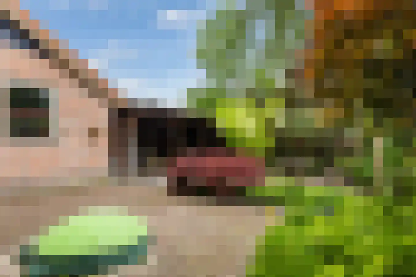 Princenhoflaan 13 Leusden thumbnail 20