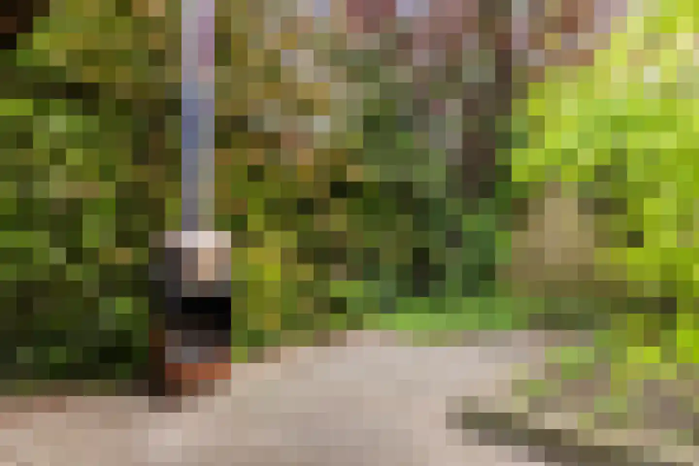 Princenhoflaan 13 Leusden thumbnail 22