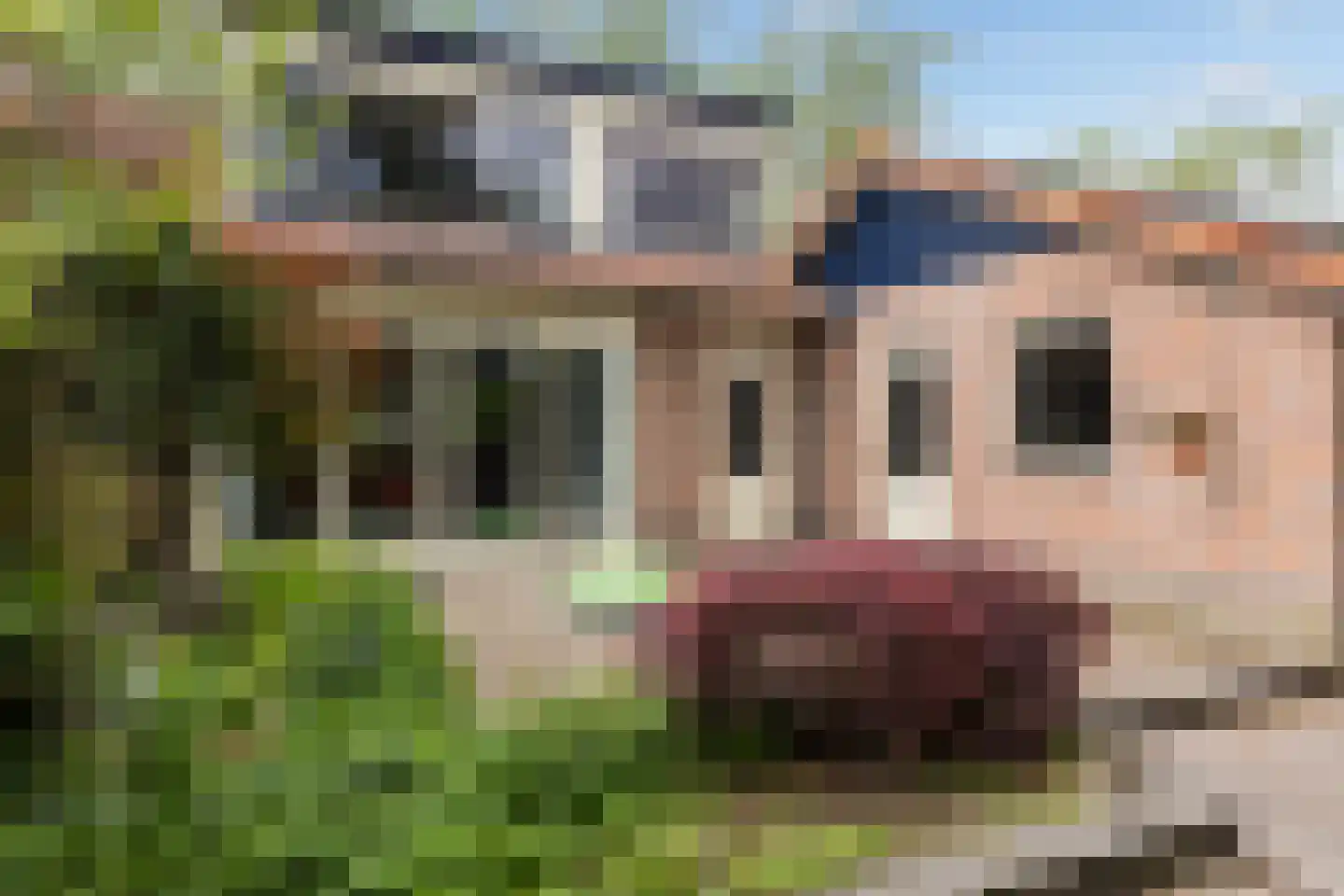 Princenhoflaan 13 Leusden thumbnail 23