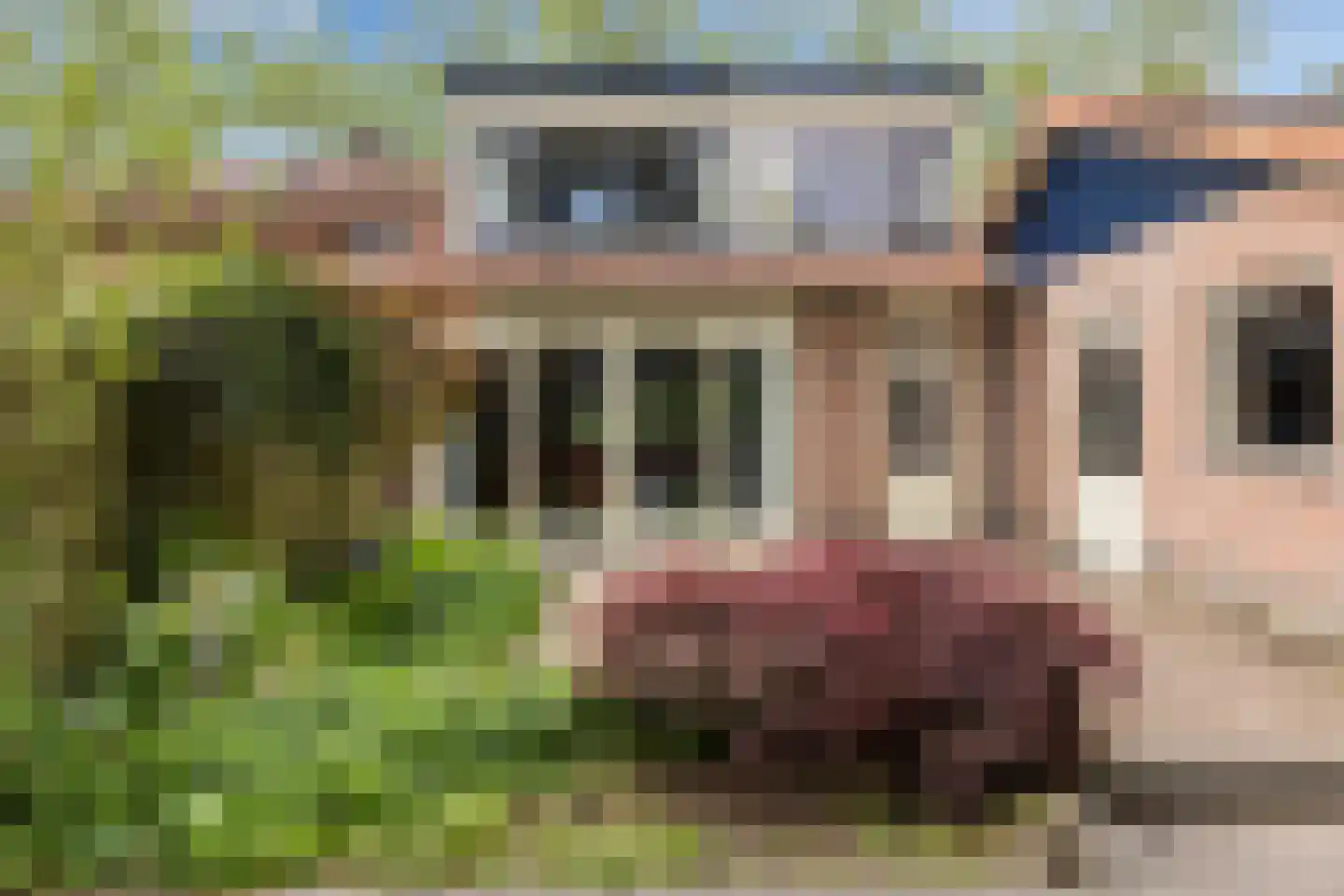 Princenhoflaan 13 Leusden thumbnail 4