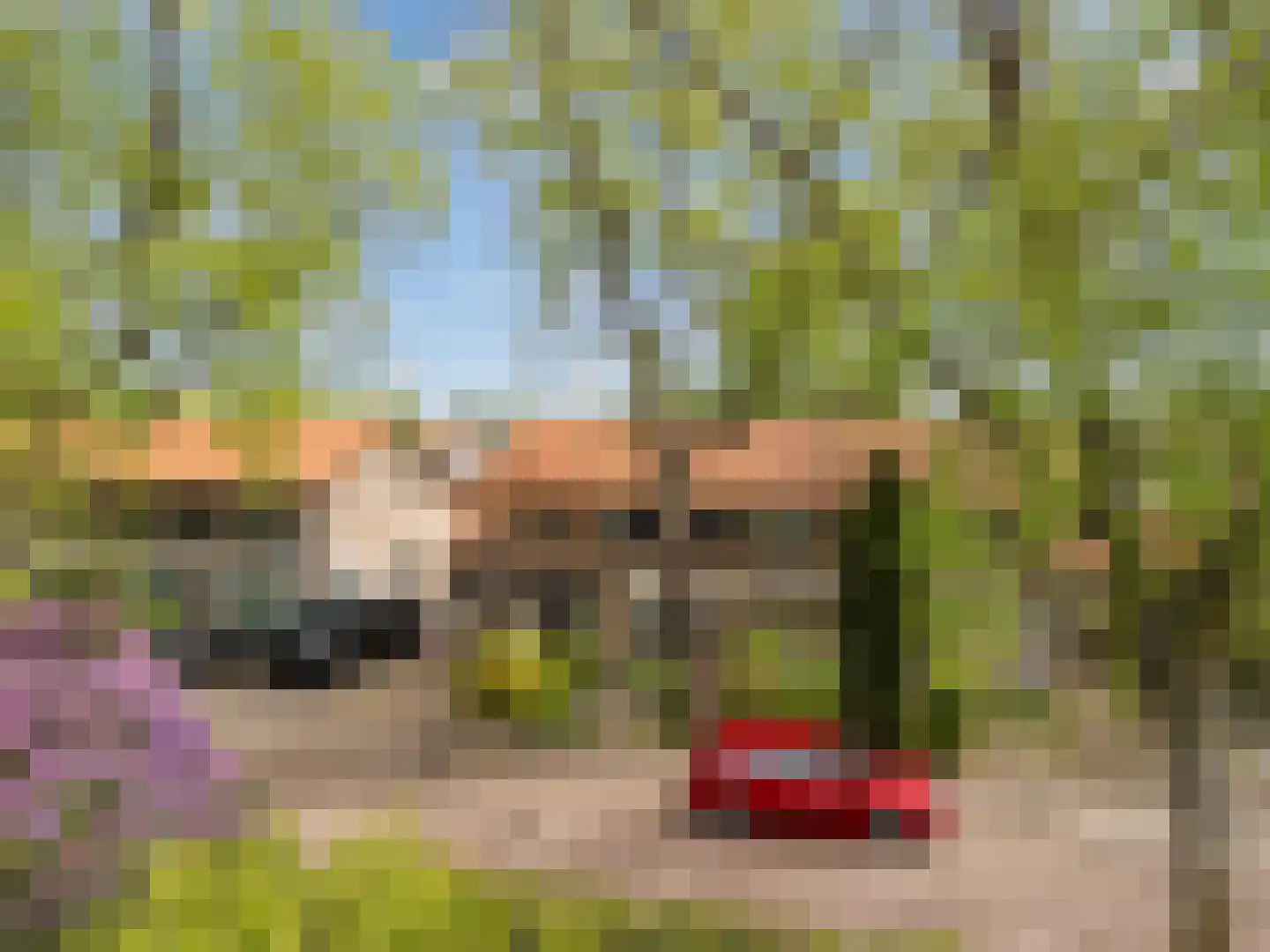 Princenhoflaan 13 Leusden thumbnail 7