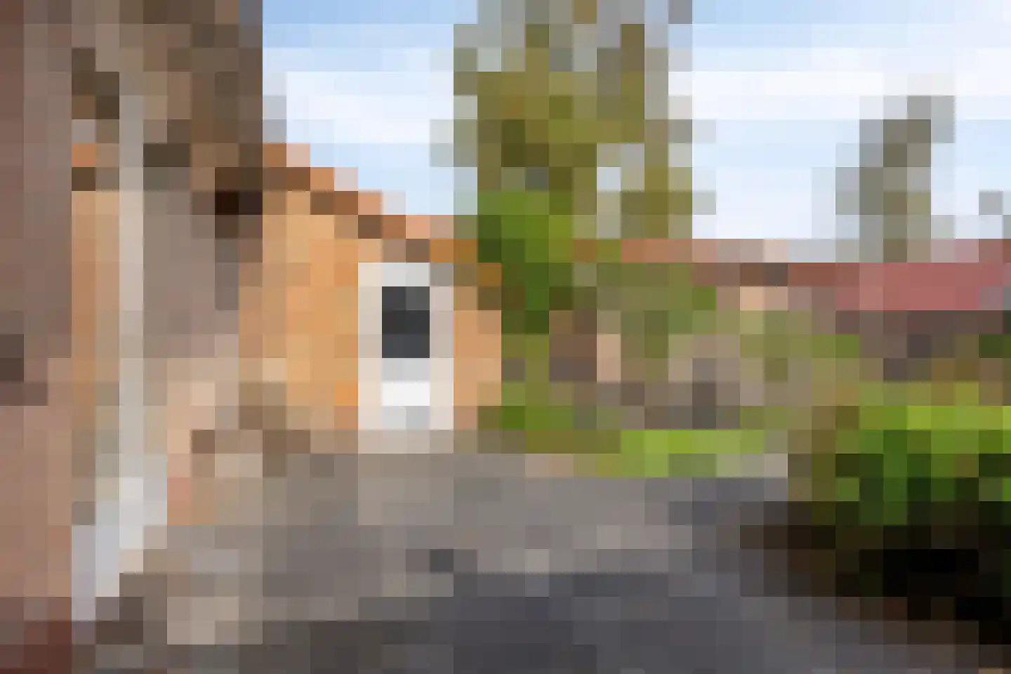 Princenhoflaan 17 Leusden thumbnail 28