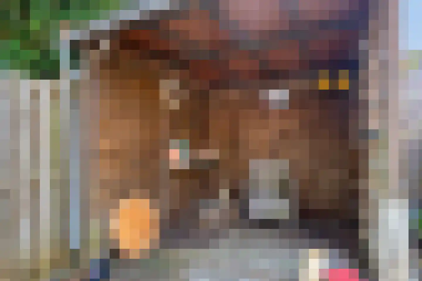 Princenhoflaan 17 Leusden thumbnail 30