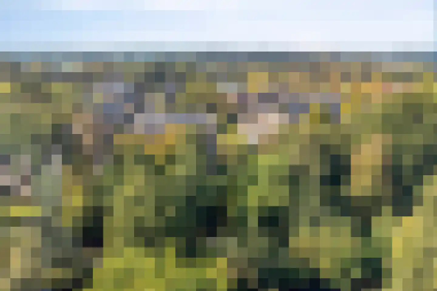 Princenhoflaan 17 Leusden thumbnail 36