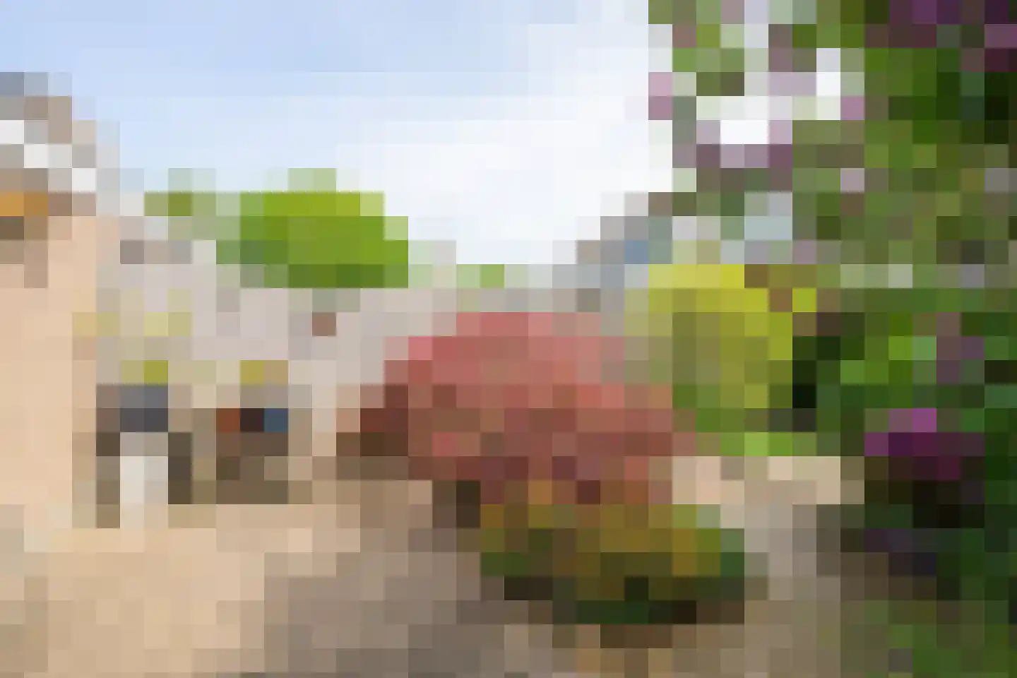 Princenhofplein 23 Almere thumbnail 29