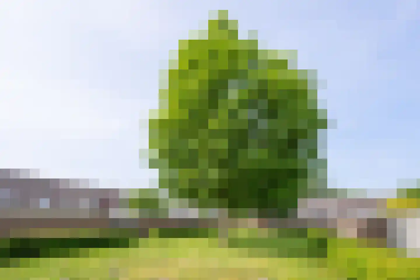Princenhofplein 23 Almere thumbnail 31