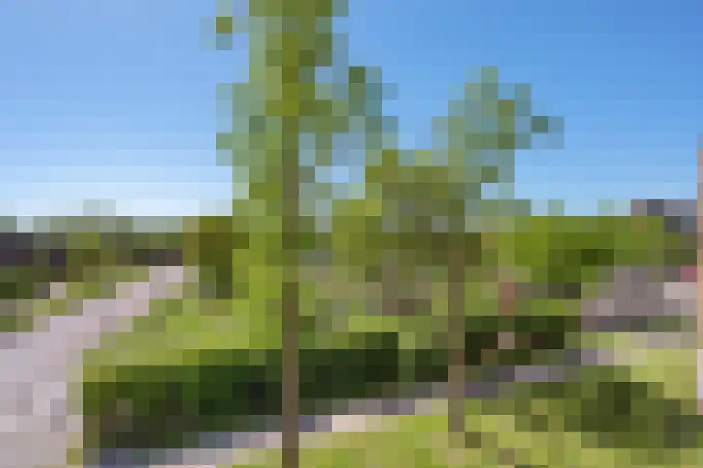 Princenlant 121 Boxtel thumbnail 17