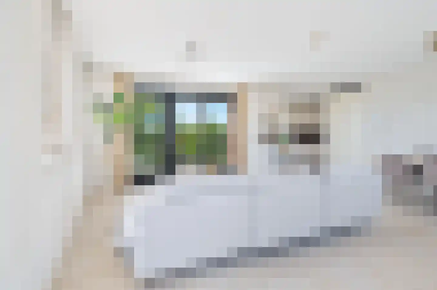 Princenlant 121 Boxtel thumbnail 8