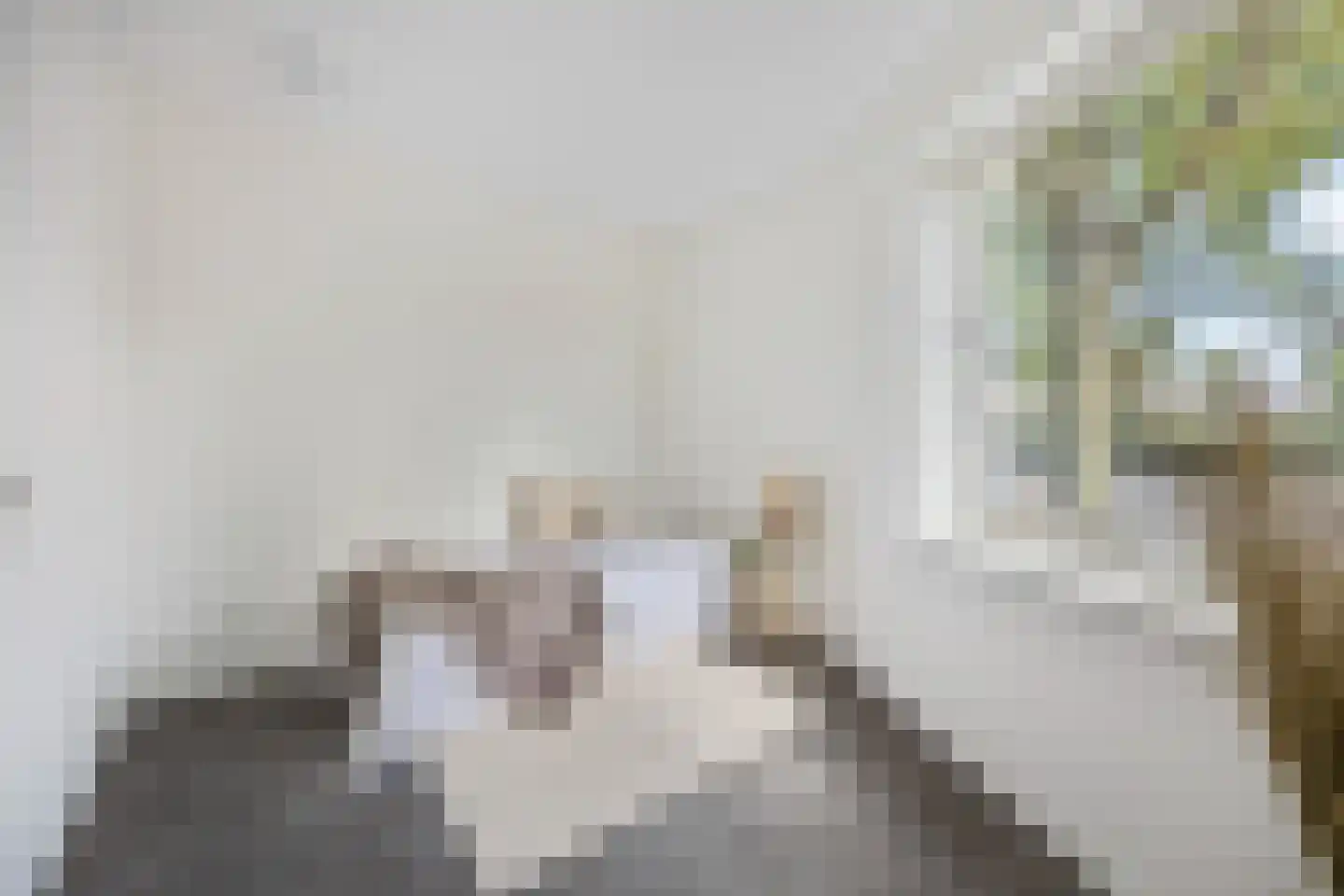Princessenlaan 47 Eindhoven thumbnail 10