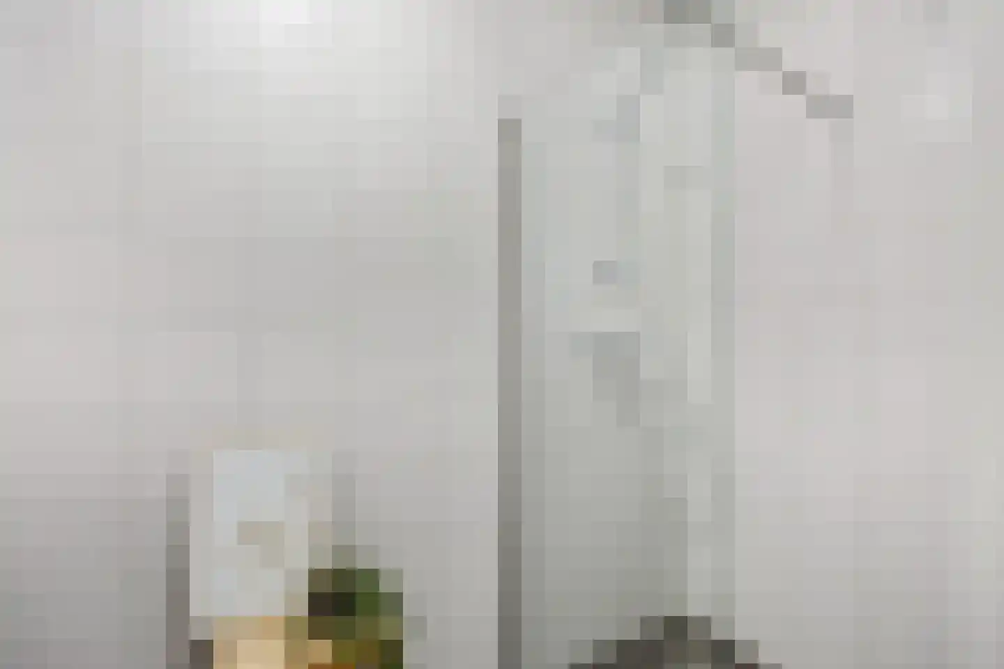 Princessenlaan 47 Eindhoven thumbnail 15
