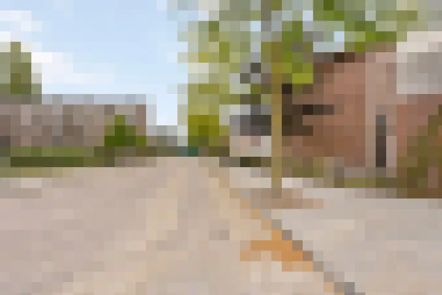 Princessenlaan 47 Eindhoven thumbnail 21