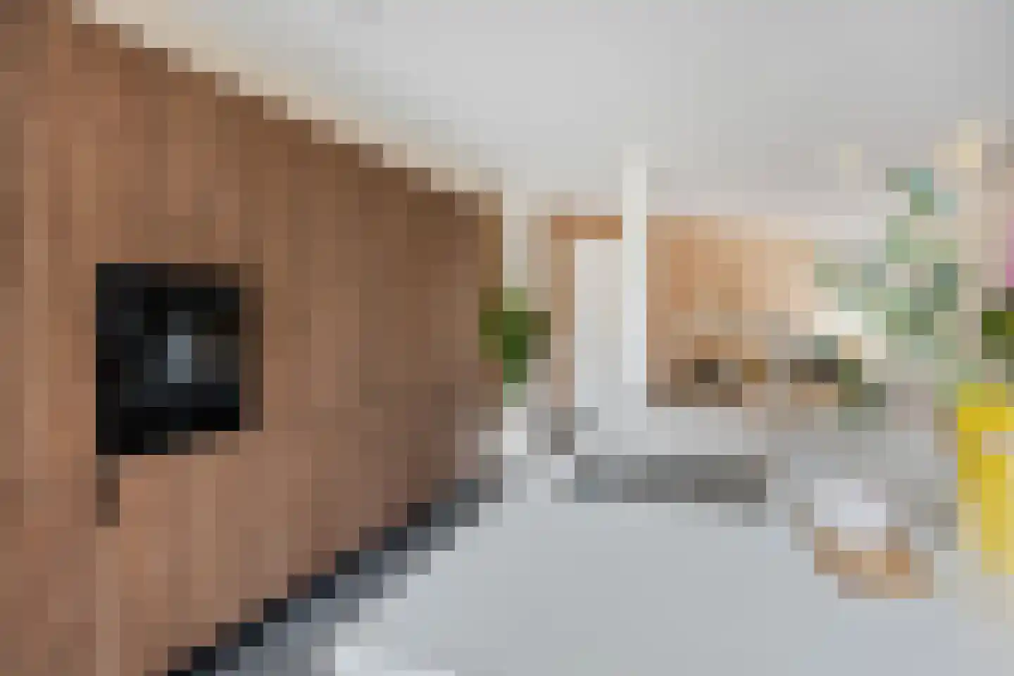Princessenlaan 47 Eindhoven thumbnail 7