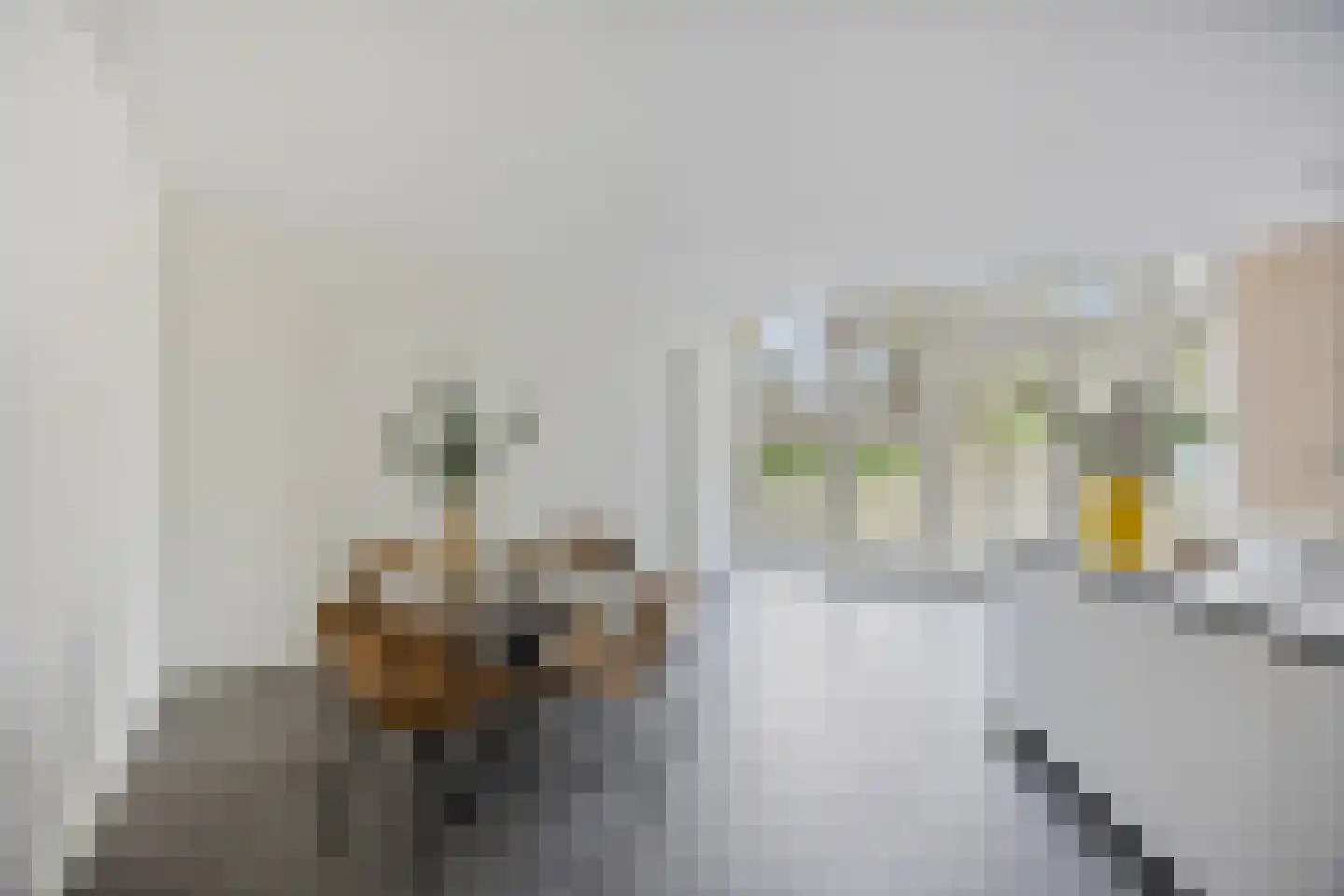 Princessenlaan 47 Eindhoven thumbnail 8