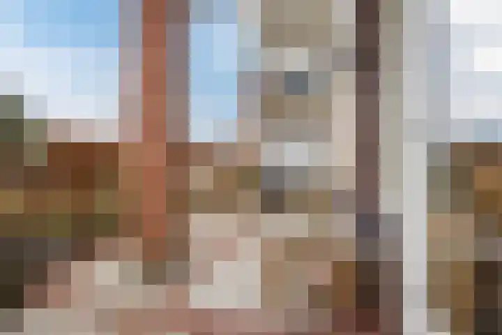 Principaalhof 2 Rijnsburg thumbnail 11