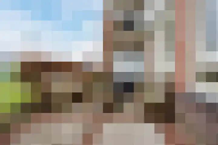 Principaalhof 2 Rijnsburg thumbnail 12