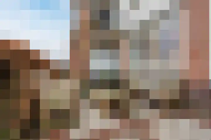 Principaalhof 2 Rijnsburg thumbnail 13