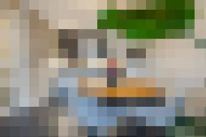 Principaalhof 2 Rijnsburg thumbnail 16