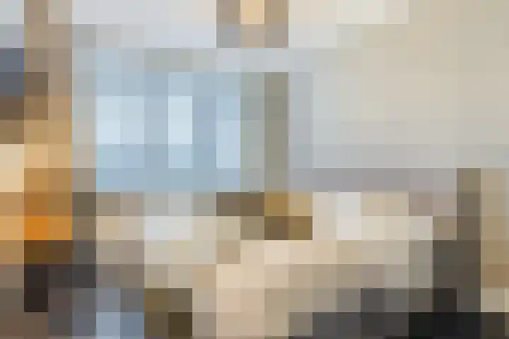 Principaalhof 2 Rijnsburg thumbnail 23