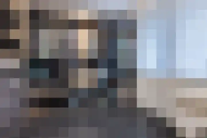 Principaalhof 2 Rijnsburg thumbnail 26