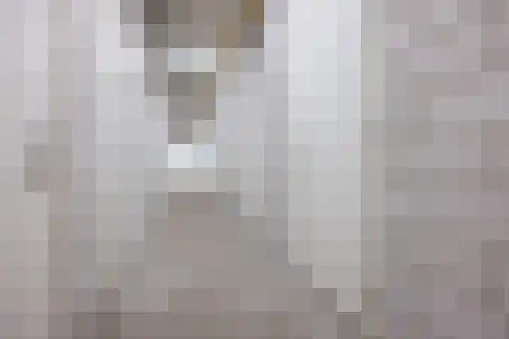 Principaalhof 2 Rijnsburg thumbnail 36