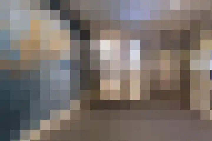 Principaalhof 25 Rijnsburg thumbnail 37