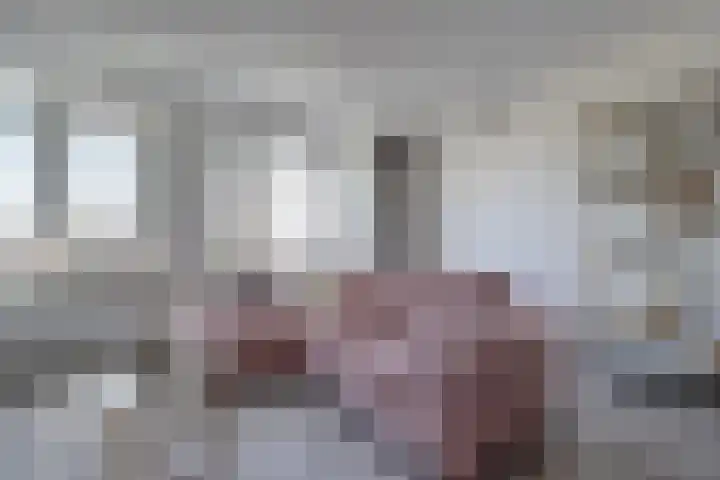 Principaalhof 25 Rijnsburg thumbnail 8