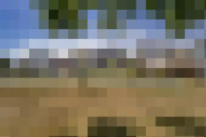 Principaalhof 28 Rijnsburg thumbnail 34