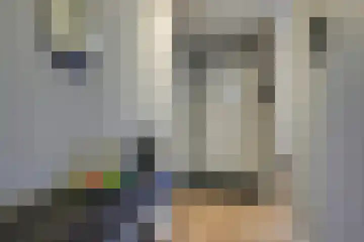 Principaalhof 29 Rijnsburg thumbnail 4