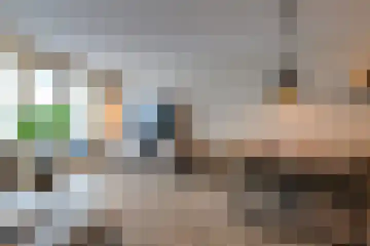Principaalhof 29 Rijnsburg thumbnail 7