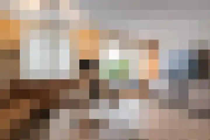 Principaalhof 29 Rijnsburg thumbnail 8