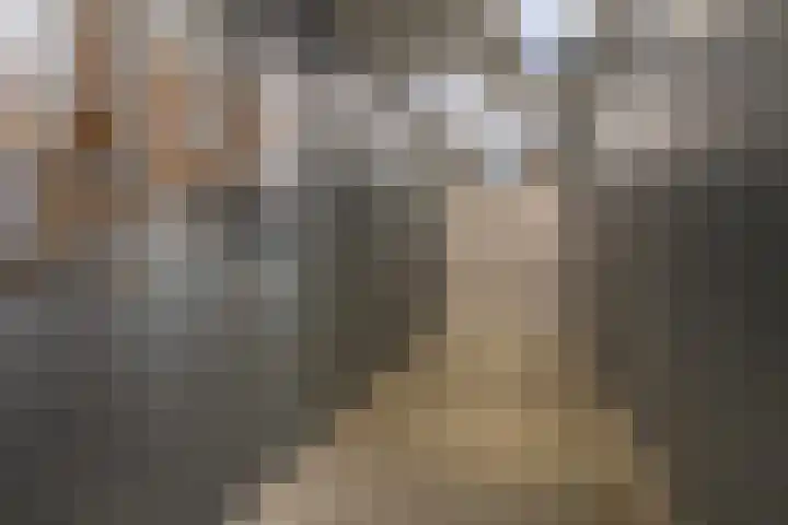 Principaalhof 3 Rijnsburg thumbnail 26