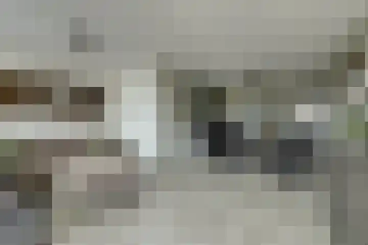 Principaalhof 5 Rijnsburg thumbnail 14