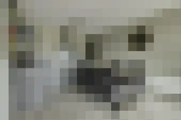 Principaalhof 5 Rijnsburg thumbnail 16