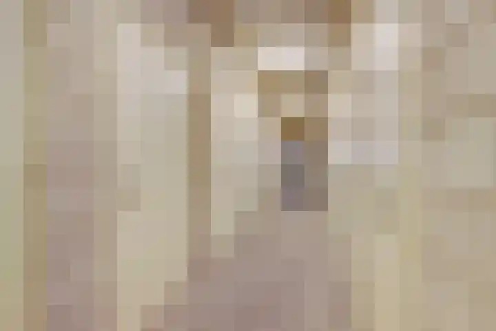 Principaalhof 5 Rijnsburg thumbnail 34