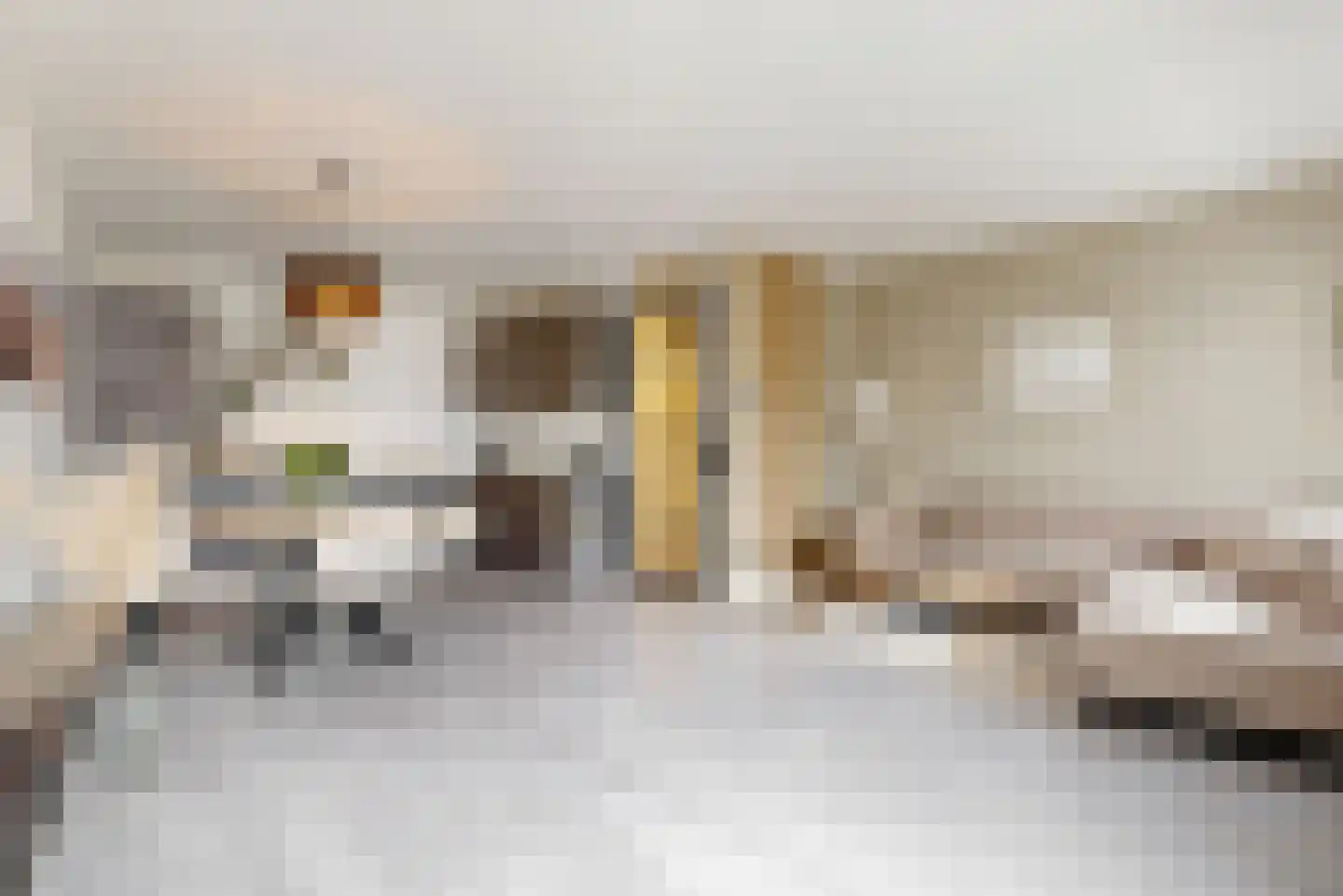 Principaalhof 6 Rijnsburg thumbnail 10