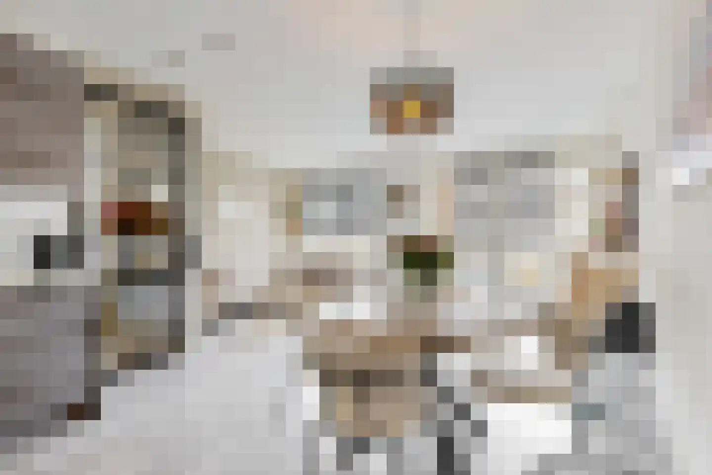 Principaalhof 6 Rijnsburg thumbnail 12