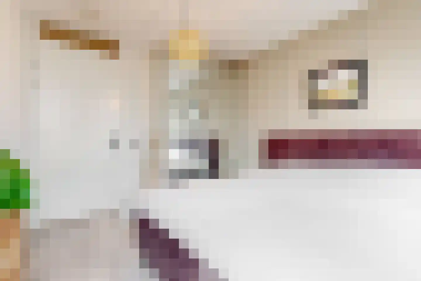Principaalhof 6 Rijnsburg thumbnail 18