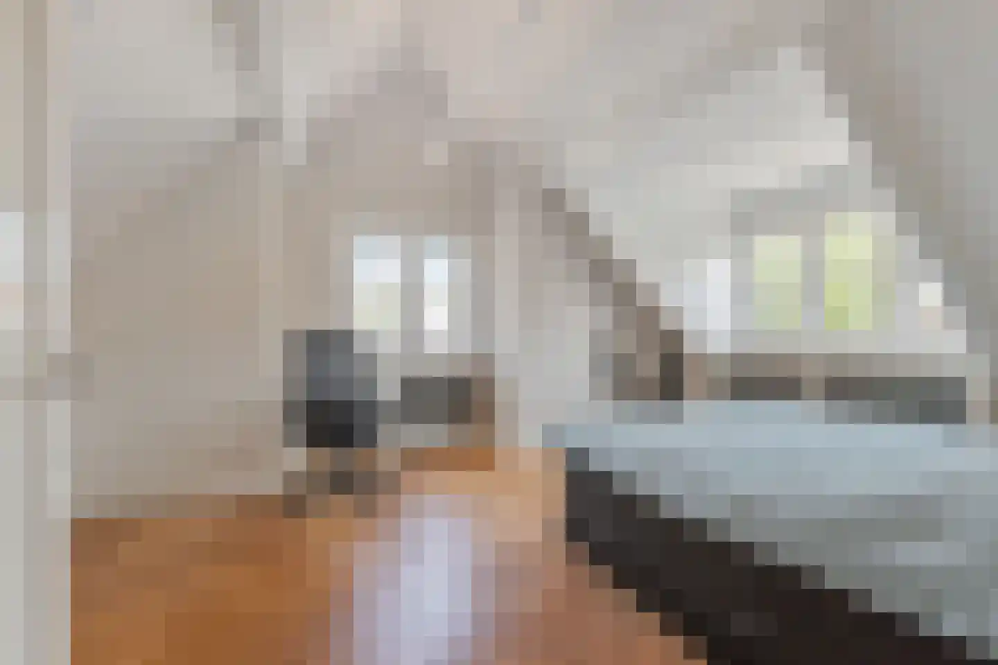 Prins Albertlaan 8 Voorburg thumbnail 35