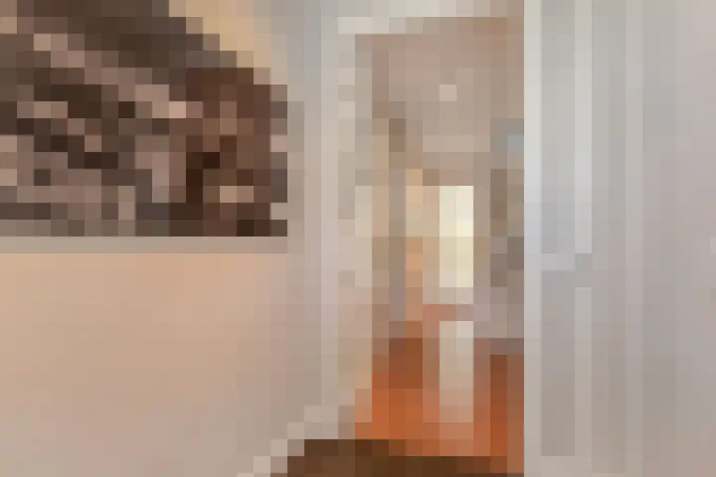 Prins Albertlaan 8 Voorburg thumbnail 6