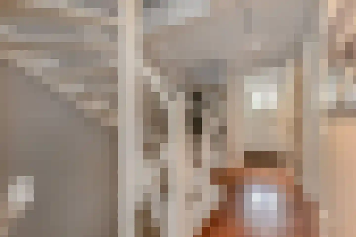 Prins Albertlaan 8 Voorburg thumbnail 7