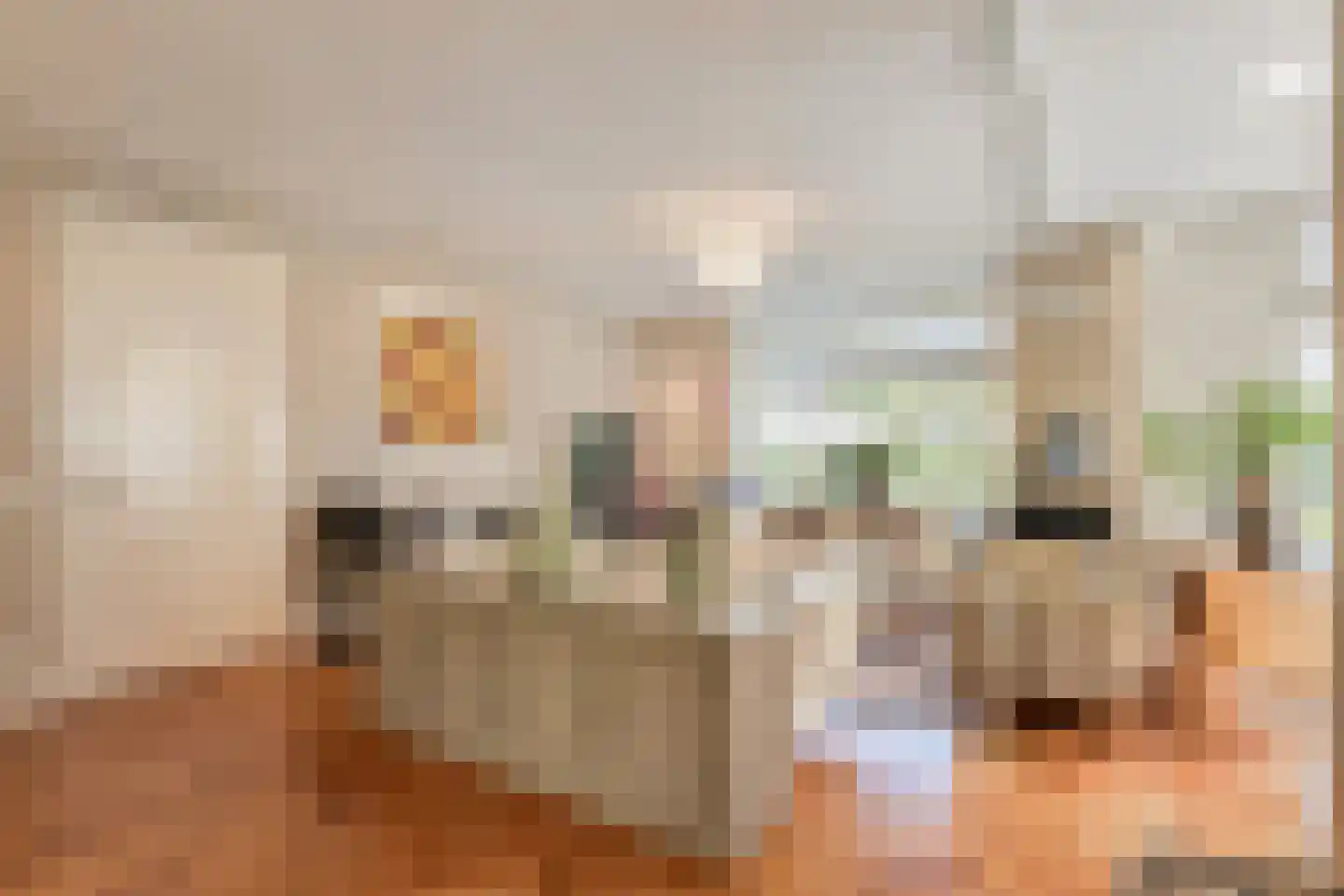 Prins Albertlaan 8 Voorburg thumbnail 8