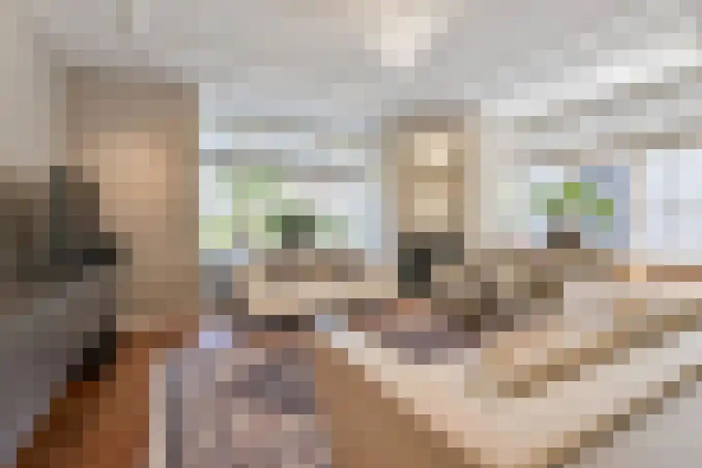 Prins Albertlaan 8 Voorburg thumbnail 9