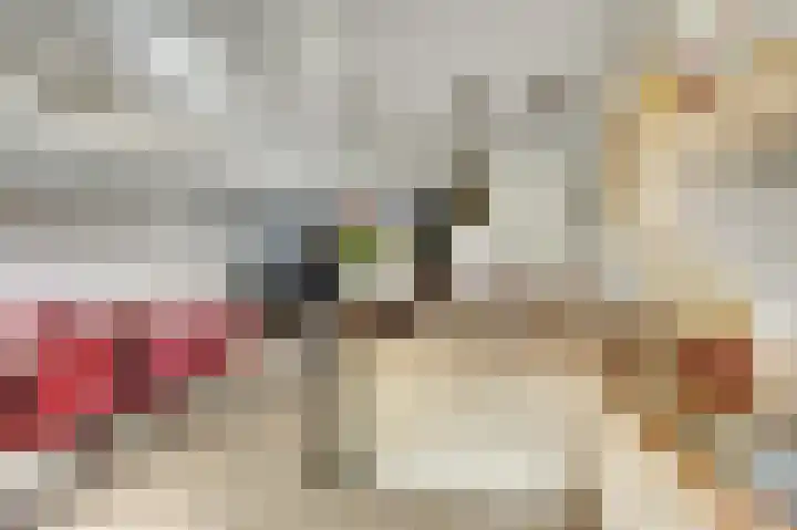 Prins Alexandererf 10 Nunspeet thumbnail 13