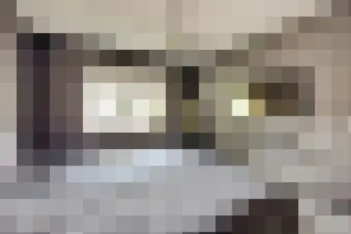 Prins Alexandererf 10 Nunspeet thumbnail 17