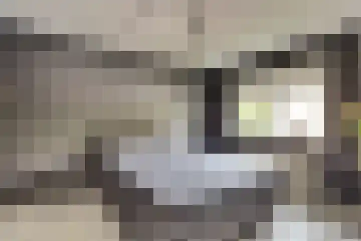 Prins Alexandererf 10 Nunspeet thumbnail 18