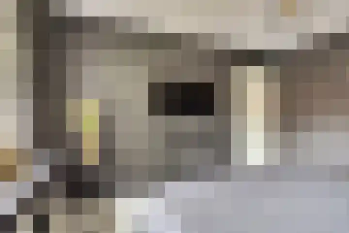 Prins Alexandererf 10 Nunspeet thumbnail 19